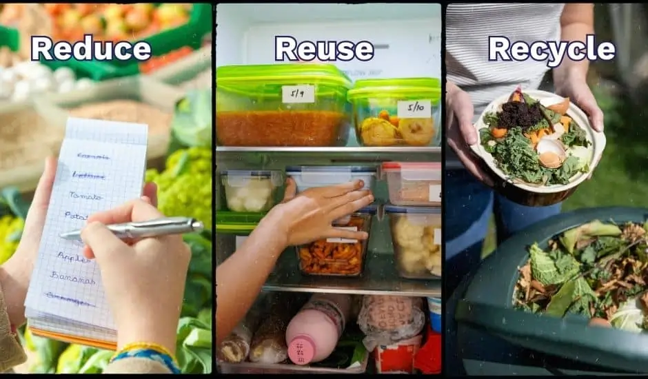 Food Waste: How to Reduce, Reuse, Recycle