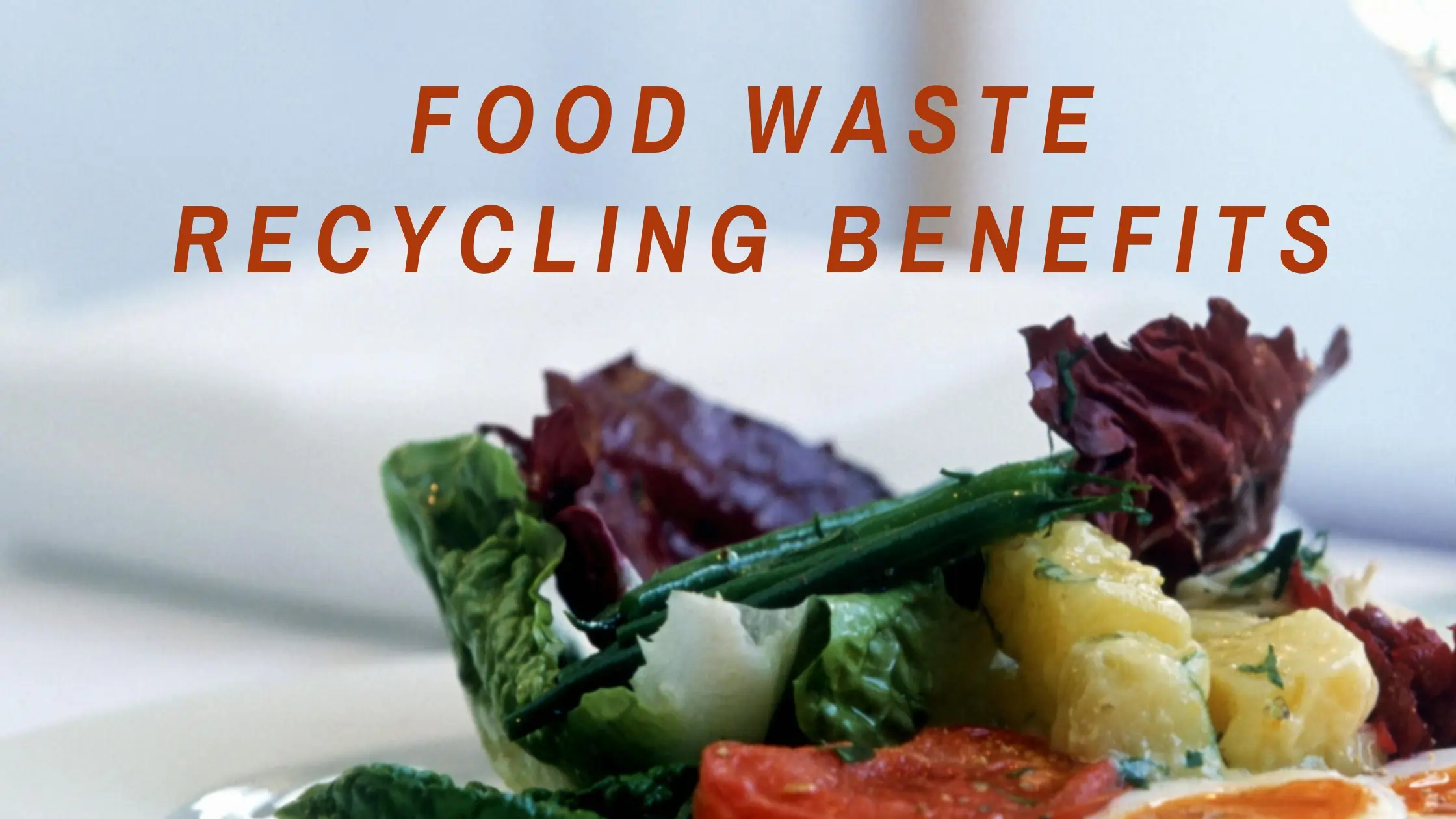 Food Waste Recycling Benefits