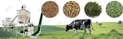 best animal feed suppliers In delhi​