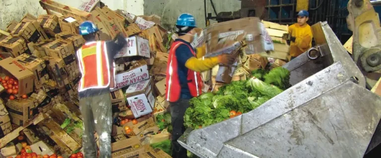 commercial food waste collection