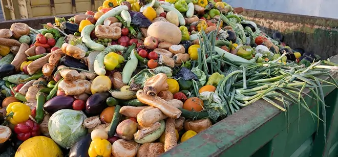 food waste buyers in delhi