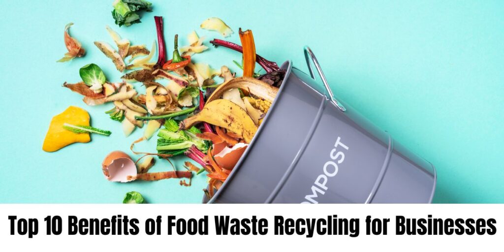 Top 10 Benefits of Food Waste Recycling for Businesses